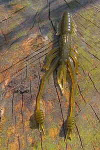 Der Ring Shrimp von Noris mit seinen langsam zu Boden sinkenden Fangarmen