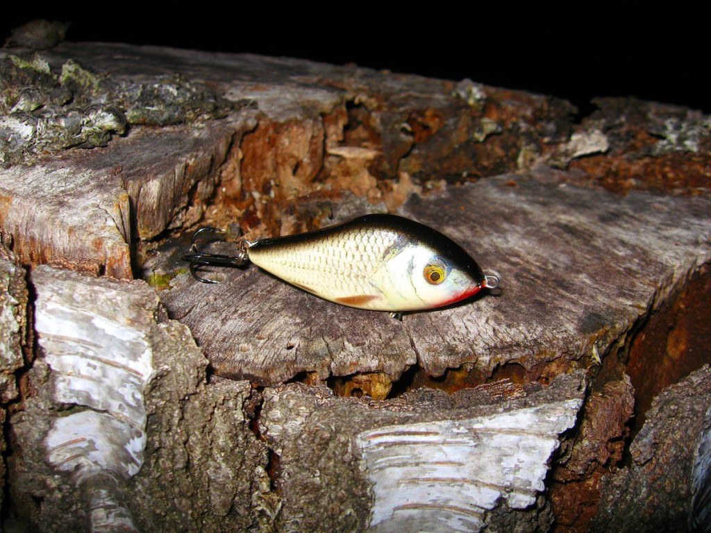 Rapfen, Hechte und Große Barsche lieben ihn, den Salmo Slider