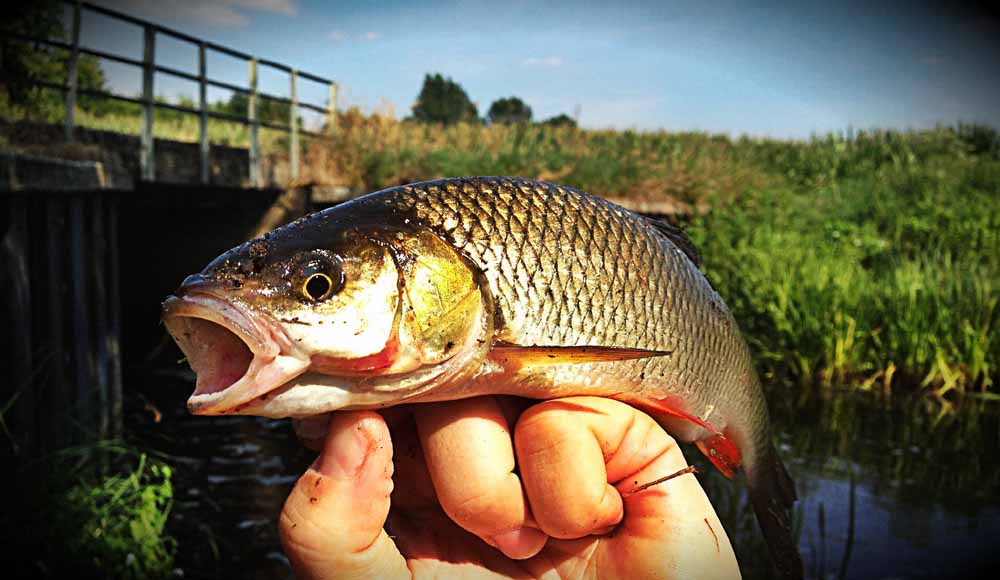 angeln_am_kleinen_fluss_doebel