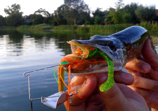 chatterbait-little-pike