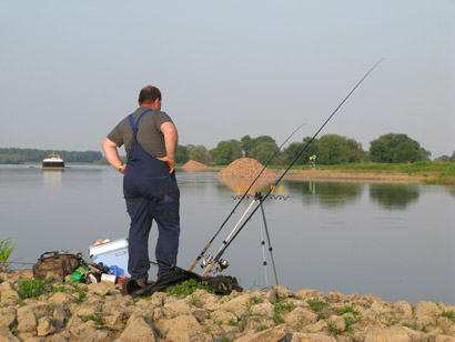 feedern auf aal angeln in der elbe 