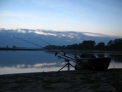 angeln in der elbe 