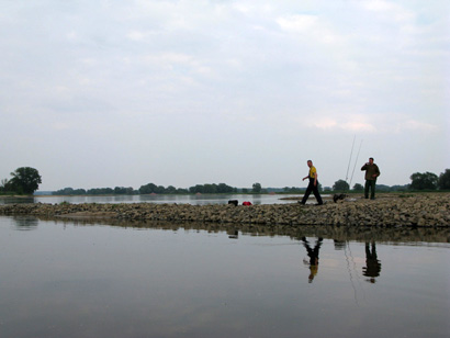 angeln in der elbe