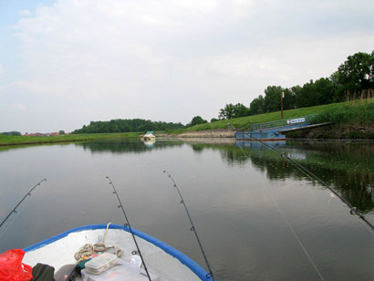 angeln in der elbe 