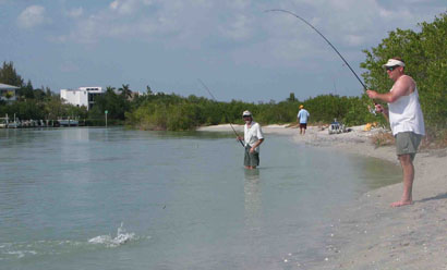 Jumping Sea Trout 2