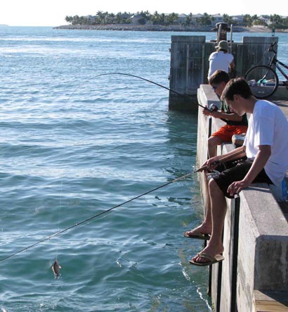 Fishing Kids in den Florida Key, hier im Hafen von Key West