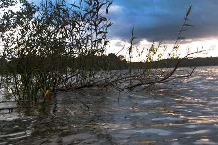 angeln bei hochwasser