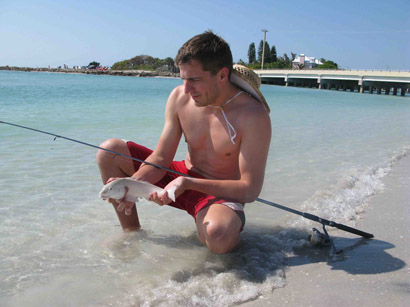 Ladyfish in Florida Sanibel Islands