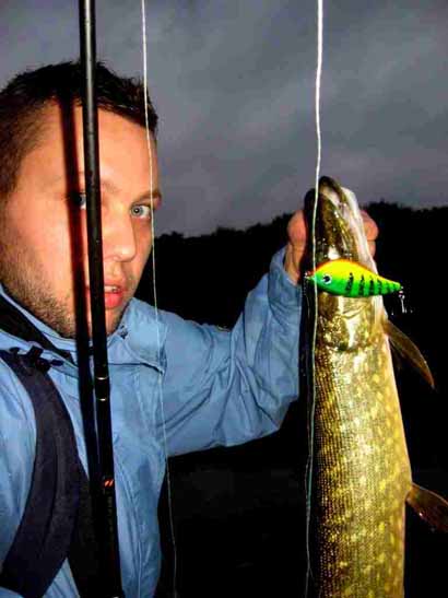 jerkbait cormoran cora z