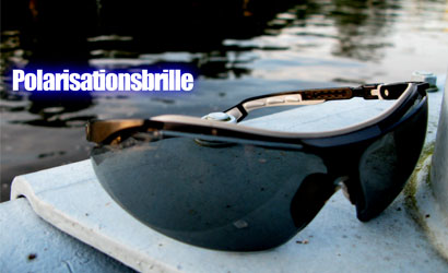 polarisatinsbrille
