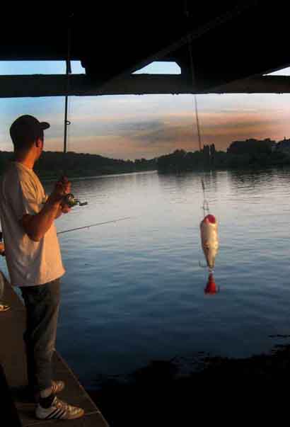 Angeln an der Glienicker Brücke Potsdam Berlin