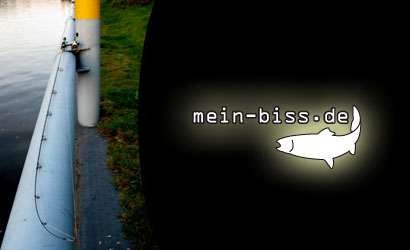 Spinnrute zum Jiggen