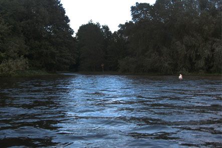 strand hochwasser