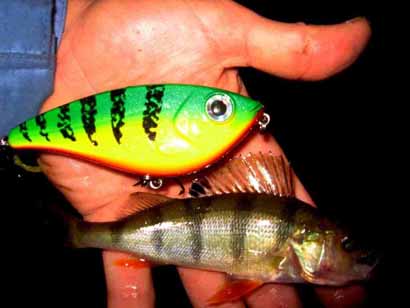 vergleich-1024x768 jerkbait cormoran cora z