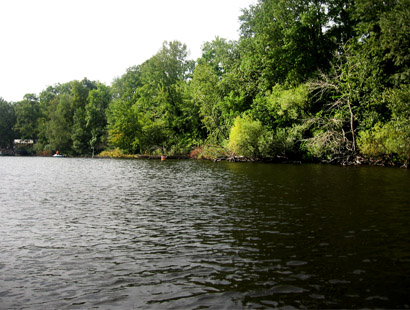 pfaueninsel westseite