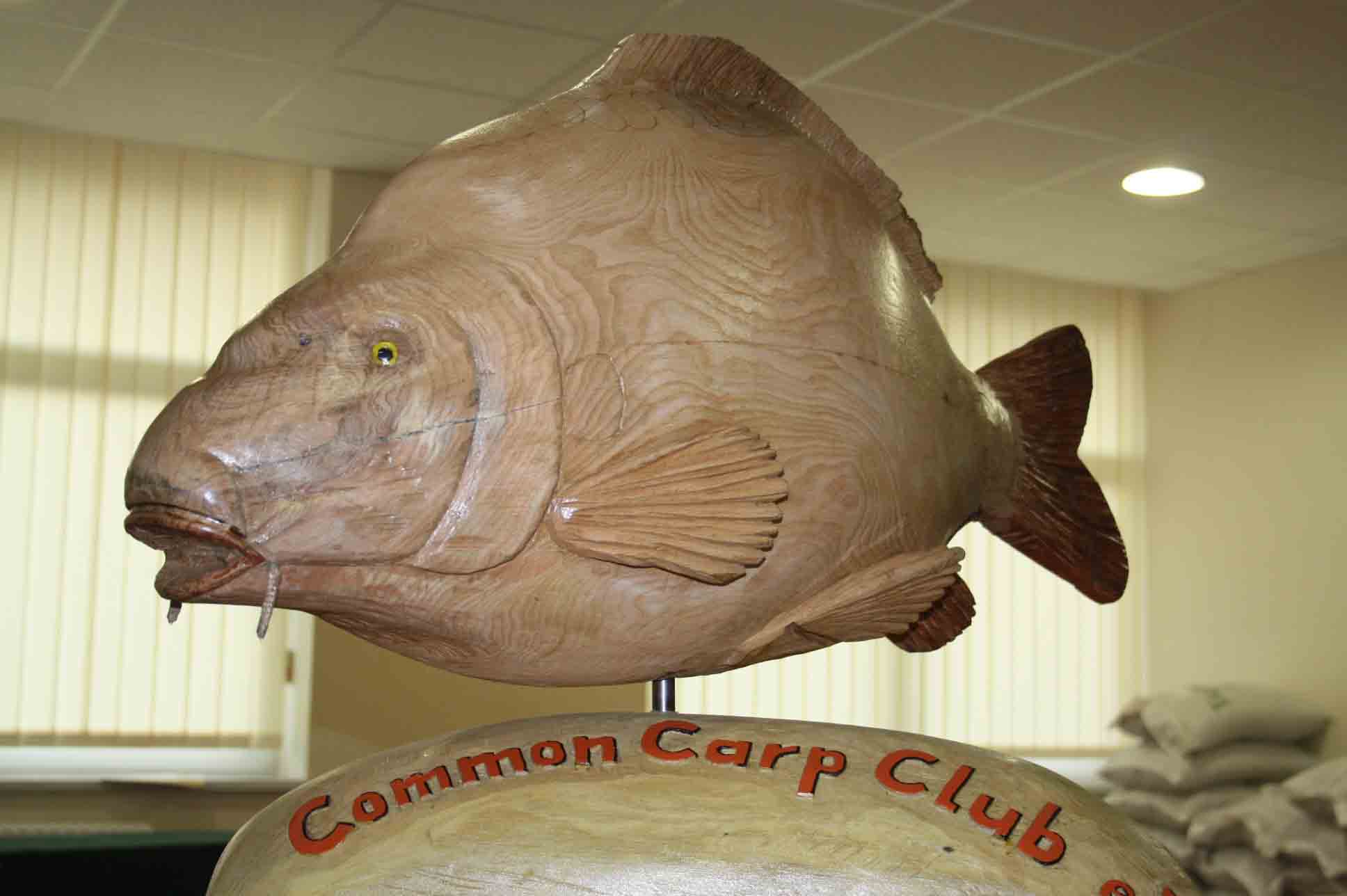 Common Carp Club