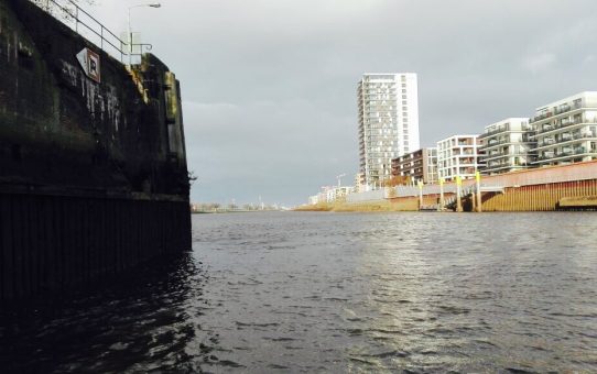 Zanderkontakte in der Weser bei Bremen