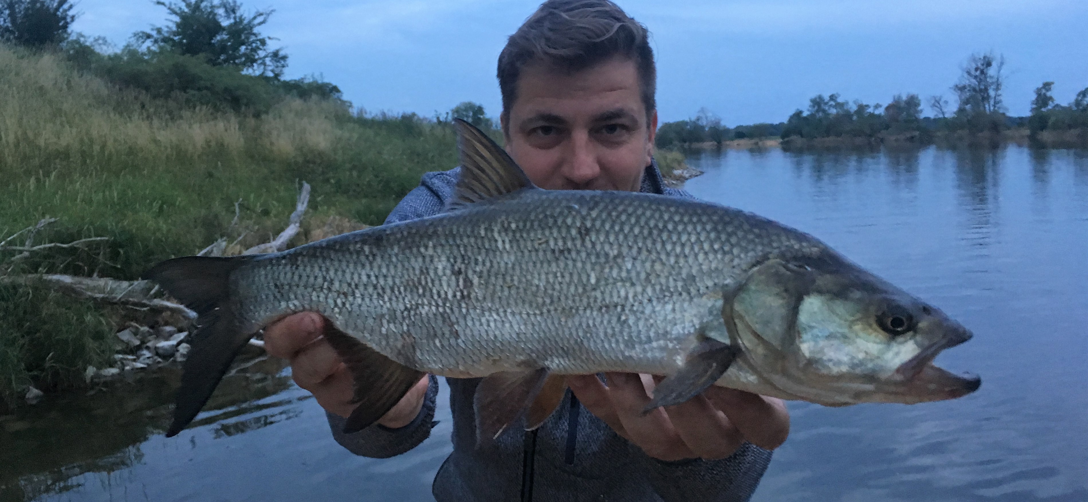 Rapfen in der Abenddämmerung