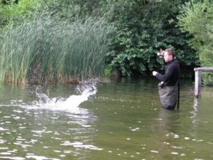 Hecht im Drill auf Jerkbait Kunstköder von Cormoran