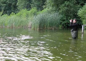 Hecht im Drill auf Jerkbait Kunstköder von Cormoran