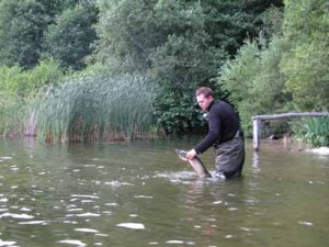 Hecht im Drill auf Jerkbait Kunstköder von Cormoran