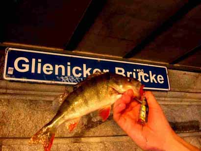 Gewässertipp: Glienicker Brücke