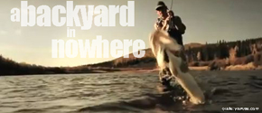 Video der Woche: "A backyard in nowhere" - ein Anglerwestern in atemberaubender Quali mit Top- Story und Fangszenen aus Alaska