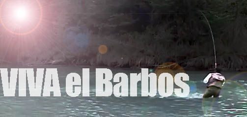 Video der Woche: Barben!