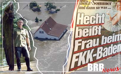 Hechtbisse, Megawelse und die Hochwasserkatastrophe 2013