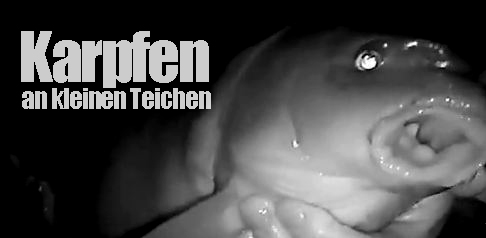 Video der Woche: Klein, aber fein