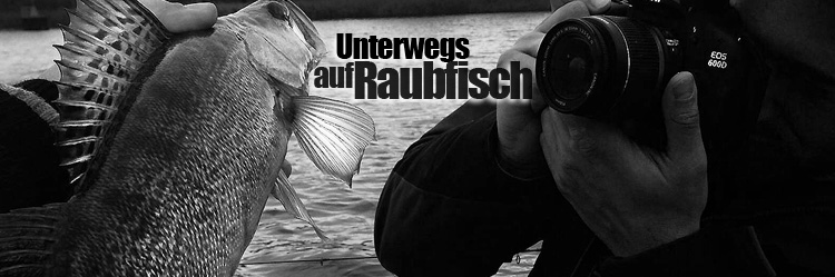 Aktive Suche mit Köderfisch